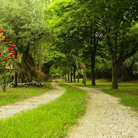 Agriturismo La Locanda Del Parco Morano Calabro Exteriör bild