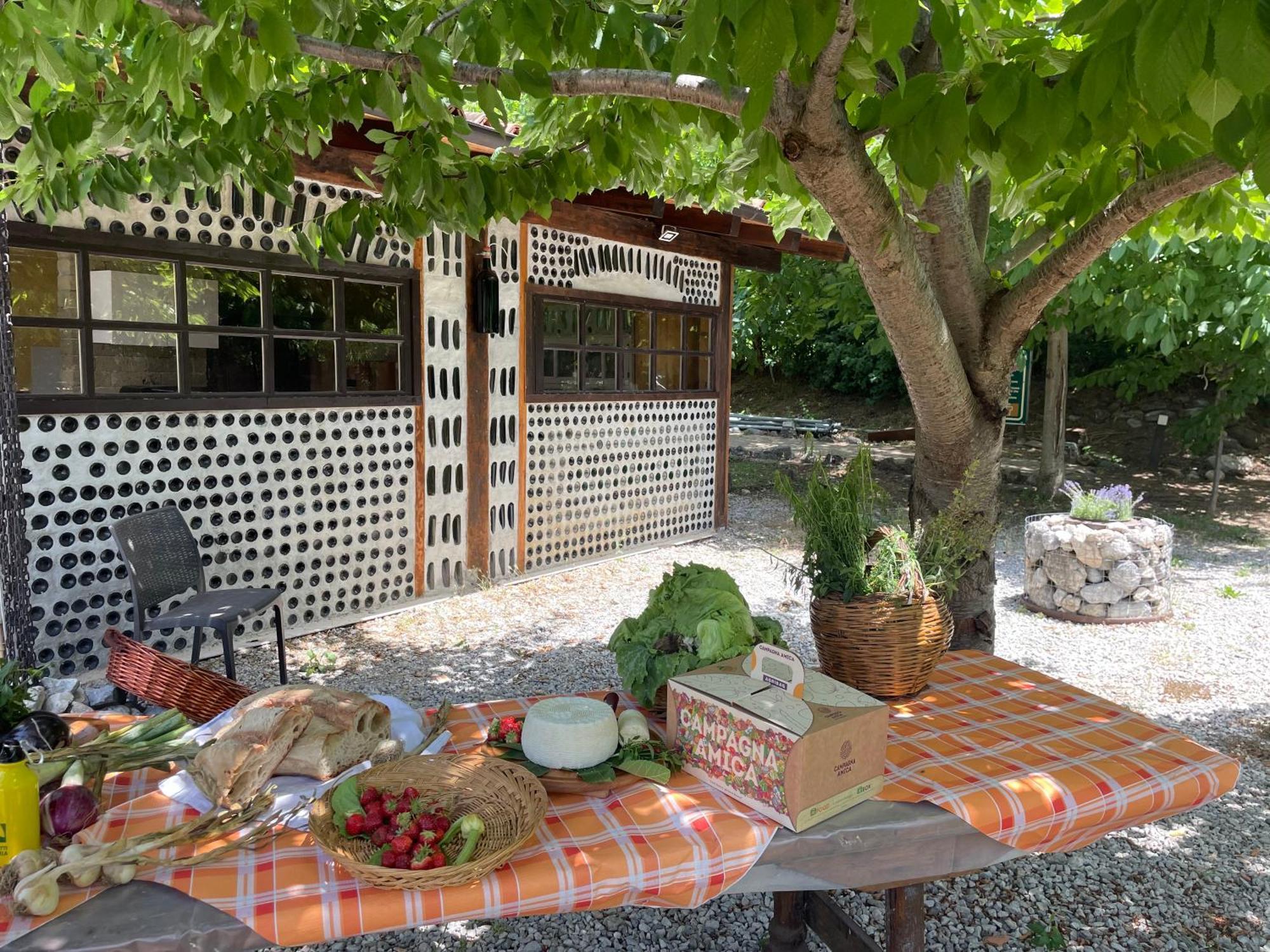 Agriturismo La Locanda Del Parco Morano Calabro Exteriör bild