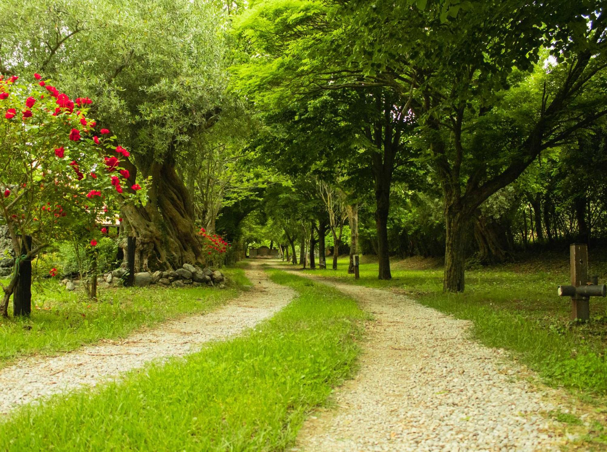 Agriturismo La Locanda Del Parco Morano Calabro Exteriör bild