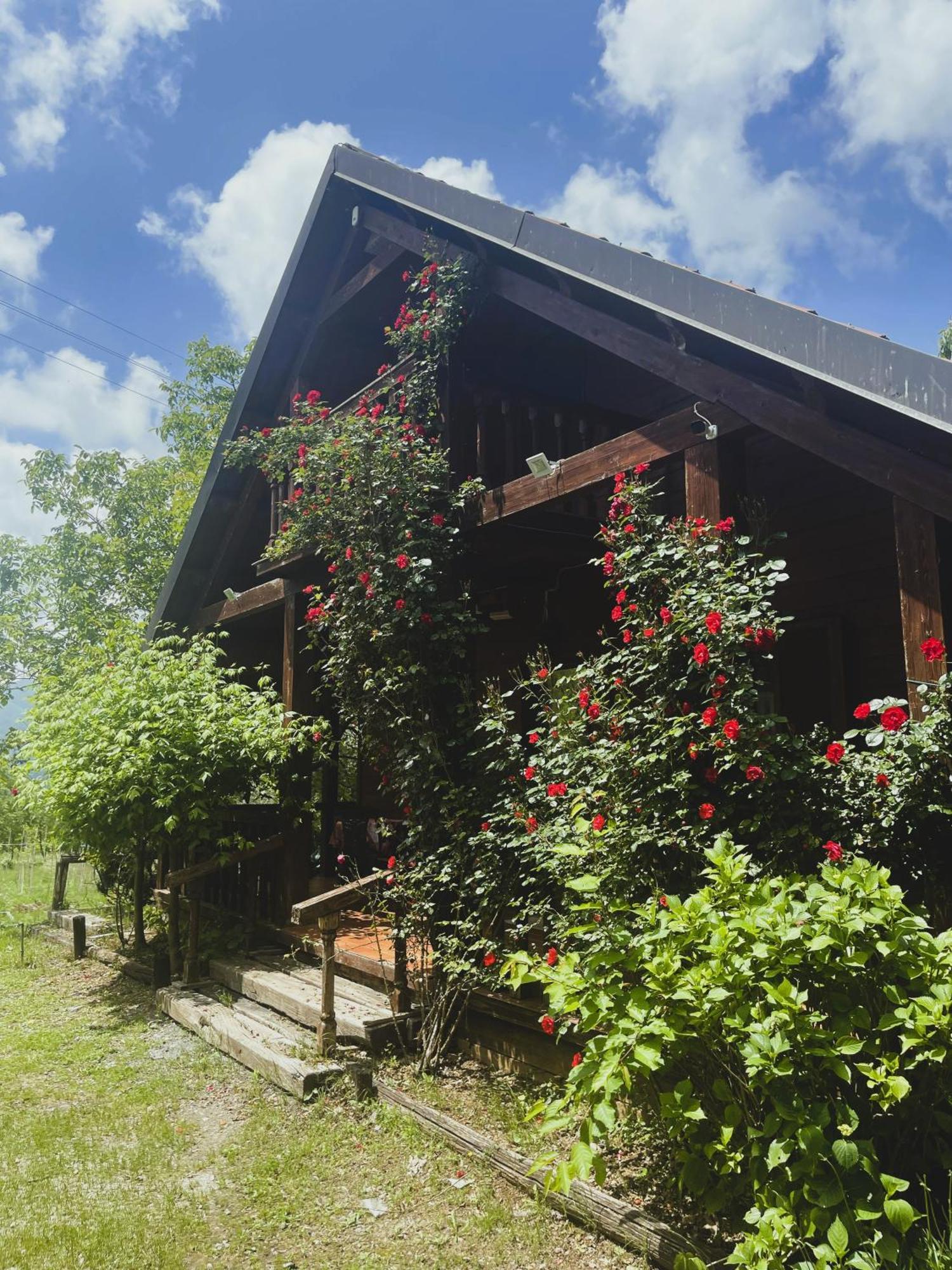 Agriturismo La Locanda Del Parco Morano Calabro Exteriör bild
