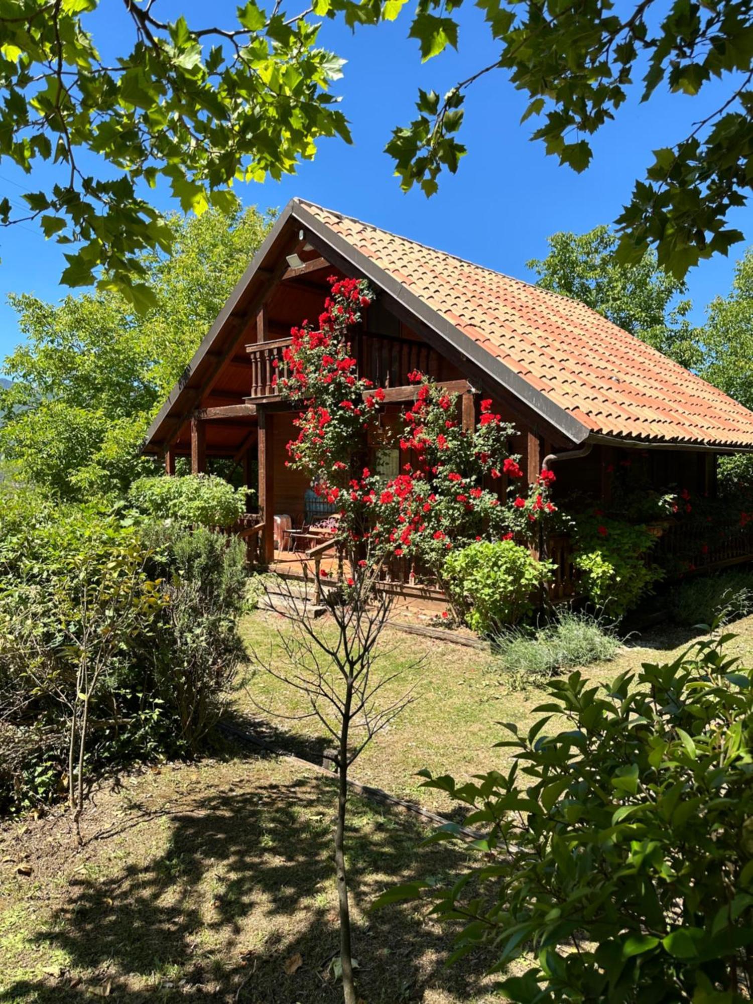 Agriturismo La Locanda Del Parco Morano Calabro Exteriör bild