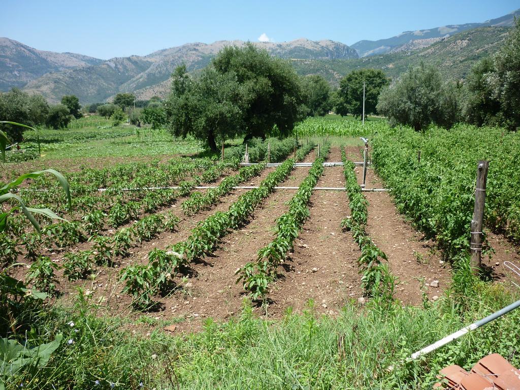 Agriturismo La Locanda Del Parco Morano Calabro Exteriör bild